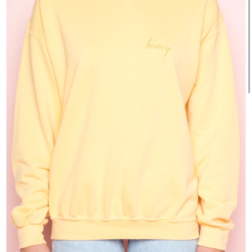 BRANDY MELVILLE burgundy sweatshirt